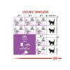 Kısırlaştırılmış Yetişkin Kedi Kuru Maması 400 g, İki Adet