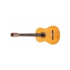 Klasik Gitar, Yüksek Kalite ve Performans