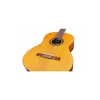 Klasik Gitar, Yüksek Kalite ve Performans