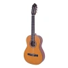 Klasik Gitar - Zengin Ses ve Estetik Tasarım