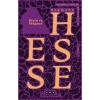 Klein ve Wagner - Hermann Hesse