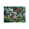 Koala Temalı 500 Parça Yapboz