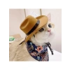 Komik Kovboy Şapkası – Evcil Kedi Kostümü