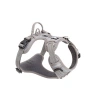 Köpek Tasması TLH56512 (XL, Gri)