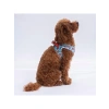 Köpekler İçin Air-Mesh Göğüs Tasması, XS Boyut