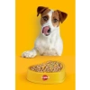 Köpekler İçin Dentastix Ödül Maması, 110 Gr