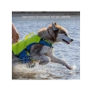 Köpekler için Yüzme Yeleği - Küçük Boy, Ayarlanabilir