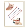 Köpekler ve Kediler İçin Yumuşak Diş Fırçası, 4lü Paket