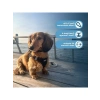 Küçük ve Orta Ölçekli Köpekler İçin Yelek, Hava Mesh, L Beden