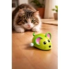 Kurmalı Hareketli Kedi Köpek Oyuncağı, Pilsiz İnteraktif