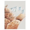 Kuş Masalları - Şermin Yaşar
