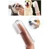 Kutulu Kedi ve Köpek Diş Fırçası