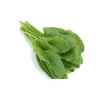 Kuzu Kulağı Tohumu - 5 Gram