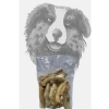 Kuzu Paça Ödül Maması - 10lu Avantaj Paketi, Köpekler İçin