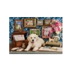 Labrador Temalı 500 Parça Puzzle, Eğlenceli Zeka Geliştirici Aktivite