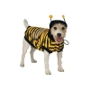 Large Beden Evcil Hayvan Kostümü ile Eğlenceli Giysi