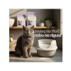 Lavantalı Kedi Kumu 10 Lt Ferahlatıcı ve Temiz Kullanım