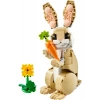 LEGO® Creator 3’ü 1 Arada Sevimli Tavşan 31162 - 8 Yaş & Üzeri Çocuklar için Yaratıcı Oyuncak Yapım Seti (326 Parça)