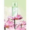 Lotus Çayı Esanslı Kadın Parfüm 100ml