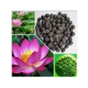 Lotus Çiçeği İçin Su Altı Torf Toprağı, 1 LT ve Tohum Hediyesi