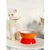 Luna Model Seramik Kedi ve Köpek Mama Su Kabı, Şık Turuncu-Sarı Renk