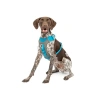 M beden Journey Air Köpek Koşum Takımı, Mavi/Gri
