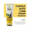 Malt Macunu Kedi Tüy Yumağı Önleyici 100 Gr