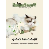 Matatabi ve Catnip Kedi Oyuncağı, Doğal Diş Kaşıyıcı