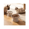 Mavi Ergonomik Seramik Kedi ve Köpek Kabı - Yükseltilmiş Tasarım