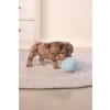 Mavi Peluş Top Oyuncak, Yavru Köpekler İçin, 10cm