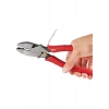 Milwaukee Kombine Pense 250 mm