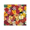 Mimulus Çiçeği Tohumu - Çok Çiçekli Bodur, Karışık Renkli - 15 Adet