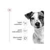 Mini Irk Yetişkin Köpekler İçin 4 Kg Kuru Mama, Besleyici Formül