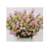 Mini Maviş Çan Çiçeği Tohumu - Pembe Renkli - 5 Tohum