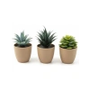 Mini Yapay Sukulent Seti, 8 cm Saksı ile Dekoratif Bitki Tasarımı