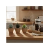 Mini Yapay Sukulent Seti, 8 cm Saksı ile Dekoratif Bitki Tasarımı