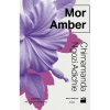 Mor Amber - Chimamanda Ngozi Adichie