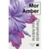 Mor Amber - Chimamanda Ngozi Adichie
