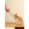 Morina Balıklı Kedi Ödülü 4 Adet 15 Gramlık Paket