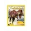 National Geographic Kids - Dinazorlar Hakkında Her Şey-Paul Sereno