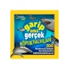 National Geographic Kids – Garip Ama Gerçek Köpek Balıkları
