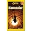 National Geographic Kids - Karıncalar - Melissa Stewart