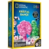 National Geographic Kristal Bitki Kiti