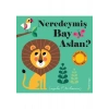 Neredeymiş Bay Aslan? Dokun, Hisset, Aynaya Bak!