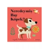 Neredeymiş Bay Köpek? Dokun, Hisset, Aynaya Bak!