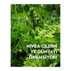 Nıvea 3Ü1 Arada Makyaj Temizleme Mendilleri (25Adet);Kuru Ve Hassas Ciltler