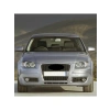 Ön Motor Kaput Amortisörü Pistonu 8P0823359 Audi A3 ile uyumlu 2004-2008