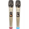 Onvo OVPS300J Taşınabilir Karaoke Bluetooth Hoparlör 300W