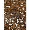 Özel Karışım Saksı Harcı, 3 LT - Sphangum Torfu, Cocopeat ve Perlit