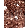 Özel Karışım Saksı Harcı, 5LT Torf, Cocopeat ve Perlit